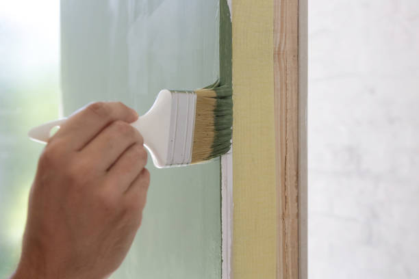 Best Basement Mold Removal  in Martin, TN