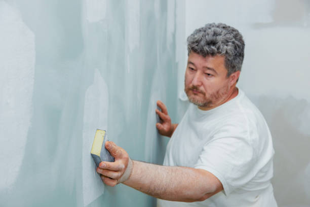 Best Post-Construction Mold Inspection  in Martin, TN