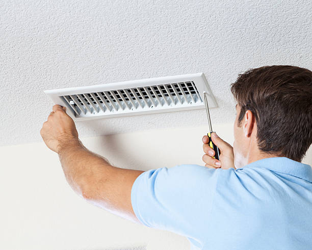 Best Black Mold Removal  in Martin, TN