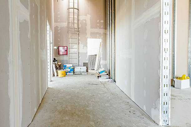 Best Biohazard Mold Removal  in Martin, TN